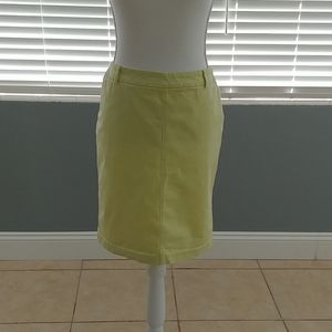 Adrienne vittadini skirt